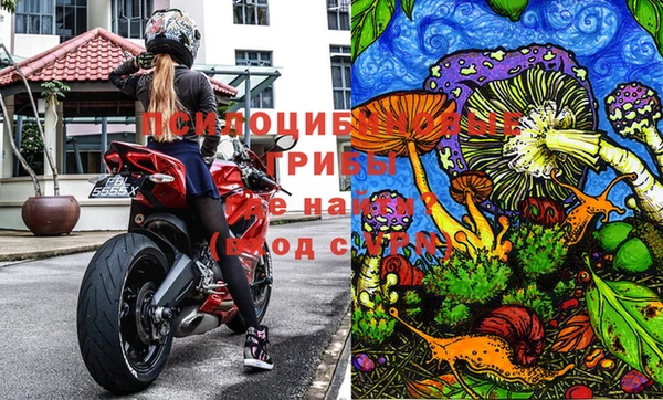 спайс Абаза