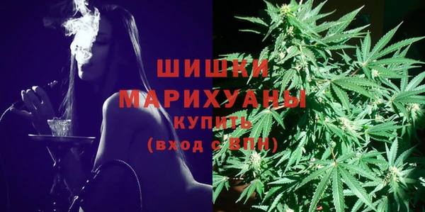 PSILOCYBIN Алексеевка