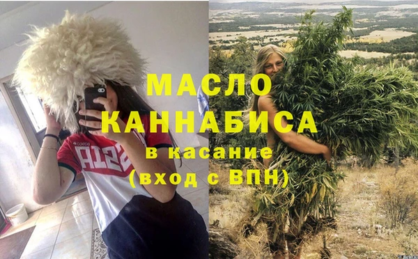 дживик Абинск