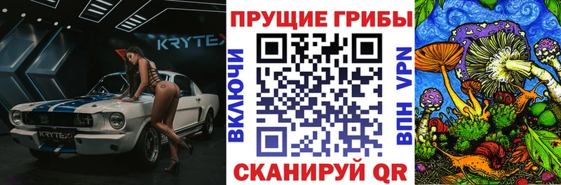 Псилоцибиновые грибы мухоморы  дарк нет официальный сайт  Арзамас  даркнет сайт 